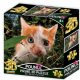 Cica 3D puzzle 63 darabos PRIME 3D